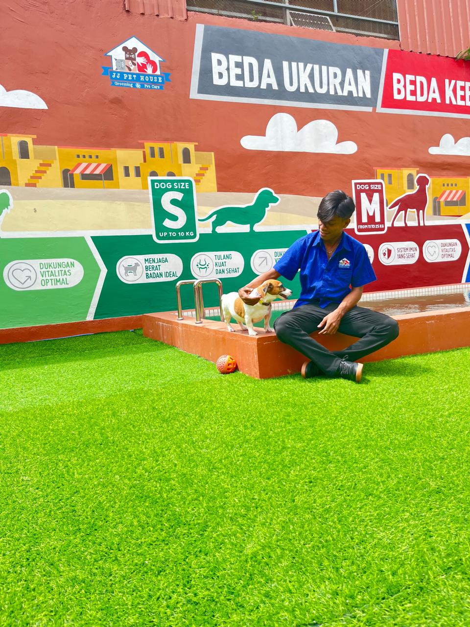 PlayGround Indoor/Outdoor